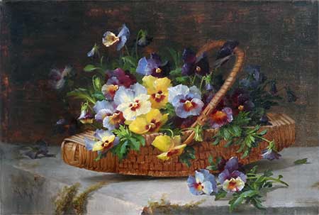 Blumenkorb mit Viola
